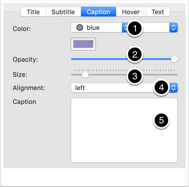 Text Inspector - Caption tab